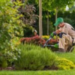 Trabajo de JARDINERO ASISTENTE - 3142 (PROGRAMA DE TRABAJADOR DE SERVICIOS PÚBLICOS)