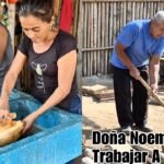 Trabajo de Trabajador de lino