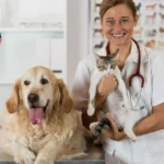Trabajo de veterinario en Canad&aacute;